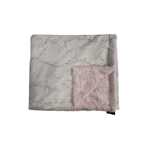 Winx and Blinx Plush Frost Rosewater Minky Blanket