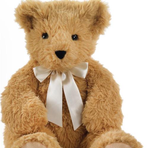 20 In. World's Coziest Bear