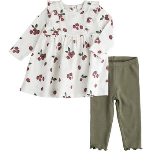 Raspberry Print Cotton Dress & Rib Leggings Set, 24M