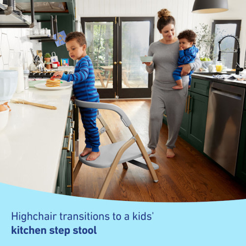 EveryStep Slim 6-in-1 Highchair - Misty