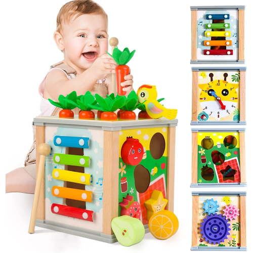 Shape Sorter Toys for Baby 12-24 Months, Montessori Toys for Toddlers 1 2 Years Old Boys Girls Christmas Gifts