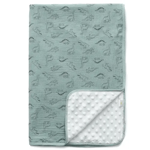 Baby Blanket for Unisex Boys Girls Nursery Minky Blankets with Muslin Cotton Front Dotted Fleece Backing Double Layer Bed Throws Pattern Sage Green Dinosaur