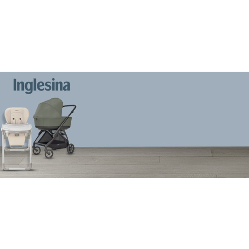 Inglesina Fast Table Chair