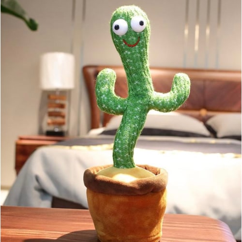 sunnythecactus