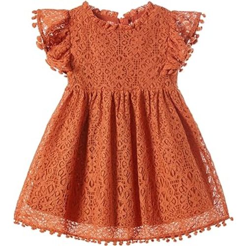Niyage Toddler Girls Elegant Lace Pom Pom Flutter Sleeve Party Princess Dress