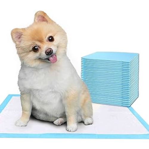 Dog and Puppy Training Pads, 25 Pack Potty Pads, Dog Pads Diapers Leak-Proof 6-Layer Pee Pads with Thicker Materials with Quick-Dry Surface for Potty Training - S Size for Small Dogs