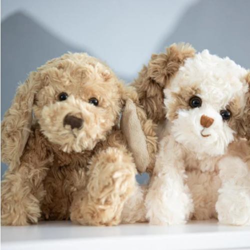 Buddy – Bukowski Bears