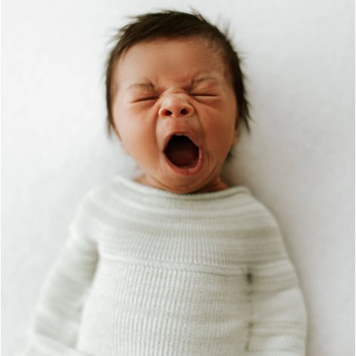 Bamboo Blend Mint Swaddle Sleep Sack – Swaddelini