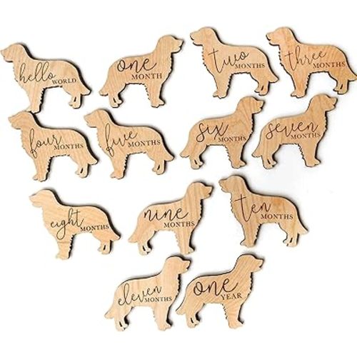 Golden Retriever Baby Milestone Plaques