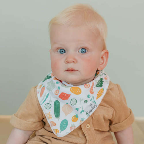 Baby Bandana Bibs - Veggies