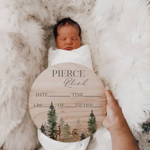 New Baby Sign, Baby Stats Announcement Sign, Gender Neutral Birth Announcement, Woodland Forest Nursery, Wooden Sign, Newborn Stats Plaque