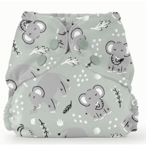 Outer–WWF Elephants / One