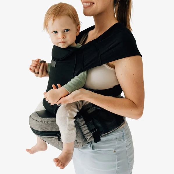 2-in-1 Convertible Carrier