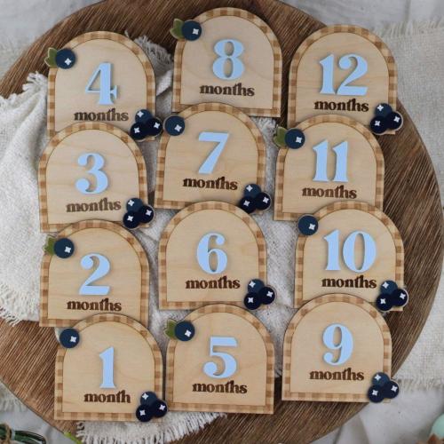 Blueberry Monthly Milestones, Baby Milestone Cards, Born Baby Gift, First Time Mom Gift, Baby Month Signs