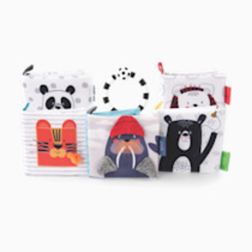 Sassy Smart Stages Soft Book Set