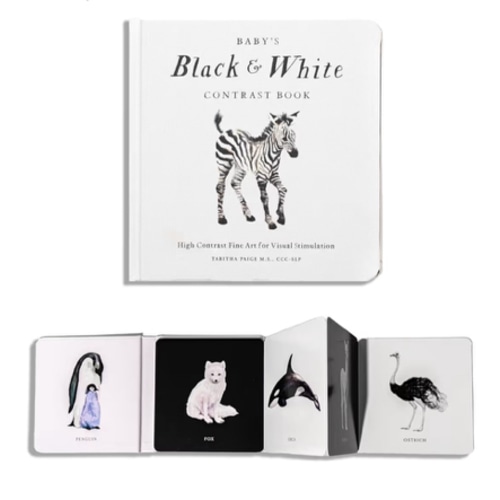Baby's Black and White Contrast Book: High-Contrast Art for Visual Stimulation at Tummy Time (Our Little Adventures Series)