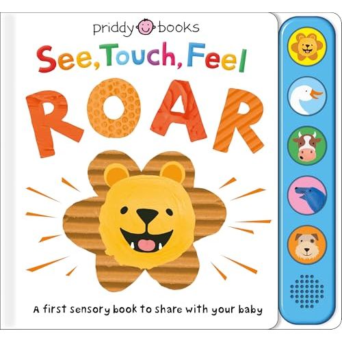 See, Touch, Feel: Roar: A First Sensory Book