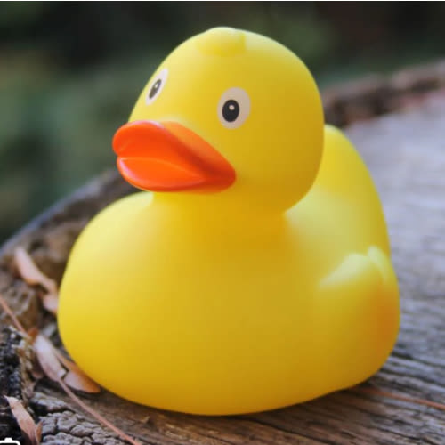 Rubber Duckie – Basilwood Farm