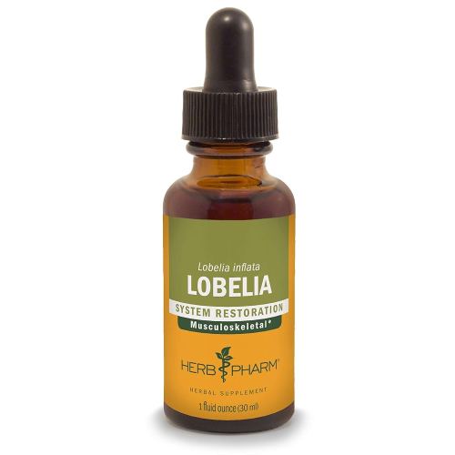 Herb Pharm Certified Organic Lobelia Liquid Extract for Musculoskeletal System Support - 1 Ounce (DLOBEL01)