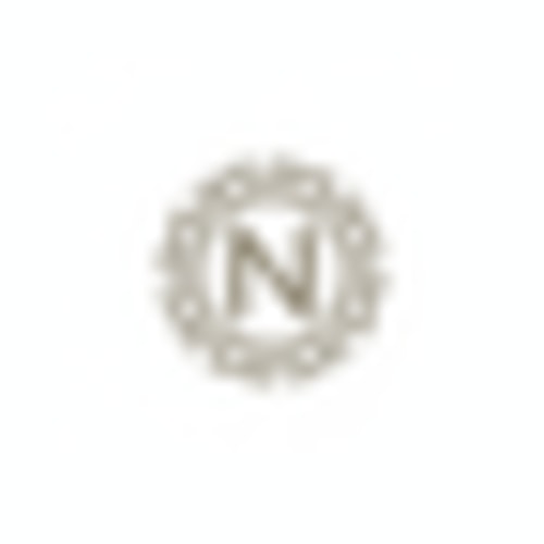 The Everything Bag™ – Nestly