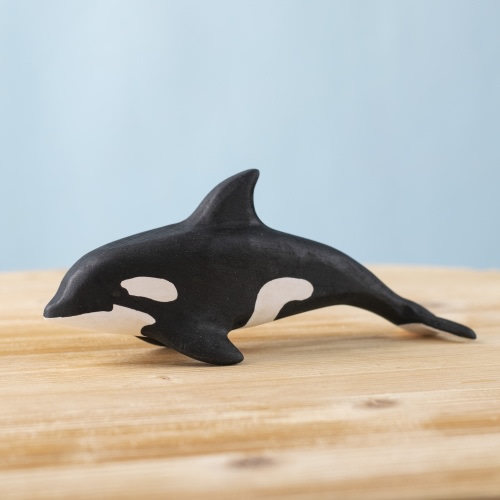 Orca