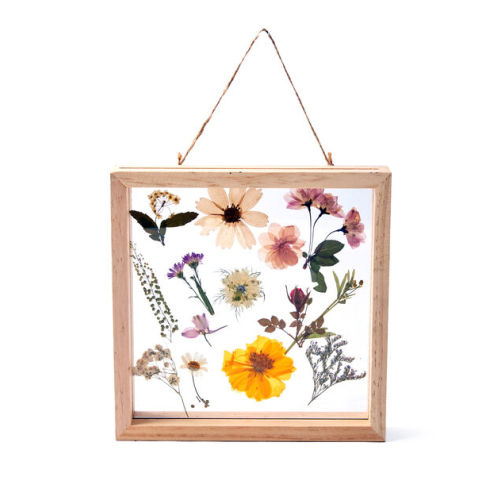8" Pressed Flowers Wood Wall Art by Place & Time