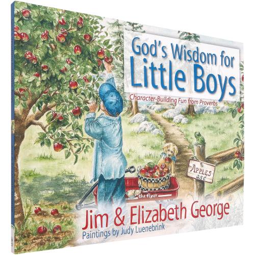 God's Wisdom for Little Boys: Character-Building Fun from Proverbs, by Jim & Elizabeth George