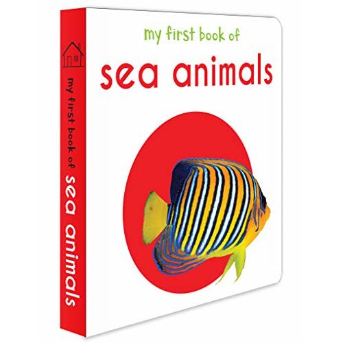 My First Book of Sea Animals