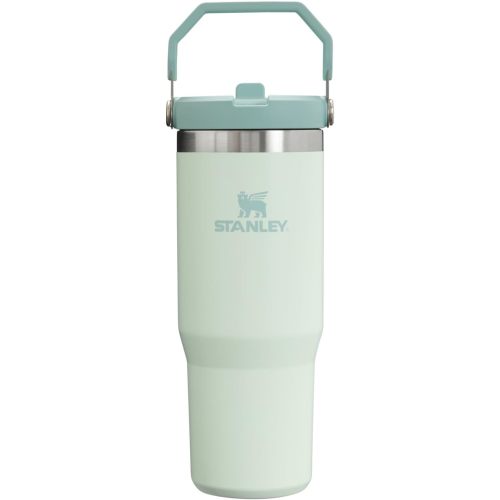 Stanley IceFlow Flip Straw Tumbler with Handle 30 oz | Twist On Lid and Flip Up Straw | Leak Resistant Water Bottle | Insulated Stainless Steel |BPA-Free | Mist