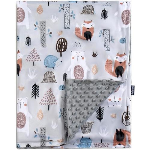 QSTEHEML Baby Blankets for Boys Neutral,Super Soft Nursery Minky Blanket Unisex, Baby Gifts Double Layer with Dotted Backing, Newborn Blankets for Crib Stroller(Fox, 30 * 40inch)
