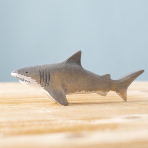 Shark