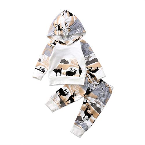 2Pcs Baby Boys Hoodie Tops Pants Set Dinosaur Deer Print Sweatsuit Fall Winter Outfits