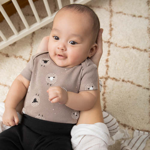 Counting Sheep 3 Pack Bodysuits