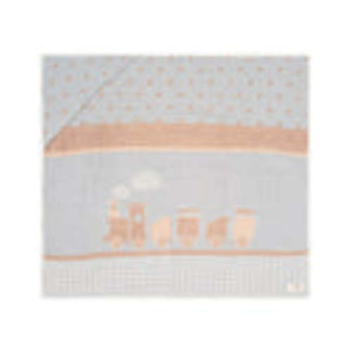 Choo-Choo Train Gauze Hooded Blanket Single | Sand Cloud