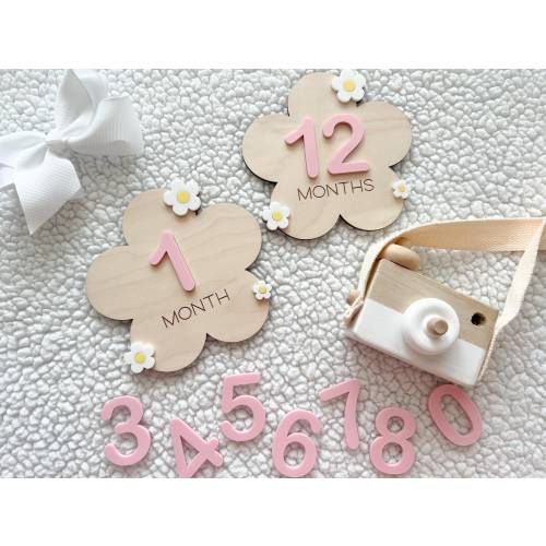 Baby Monthly Daisy Milestone Marker, Interchangeable Monthly Wooden Milestone Cards, Gift for Baby Shower Gift, Newborn Photo Prop for girls