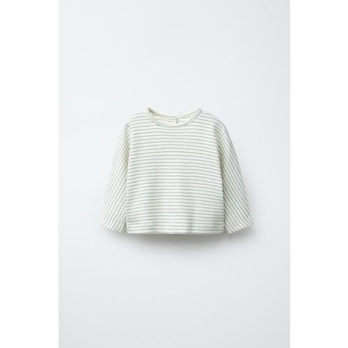STRIPED T-SHIRT - Greenish | ZARA United States