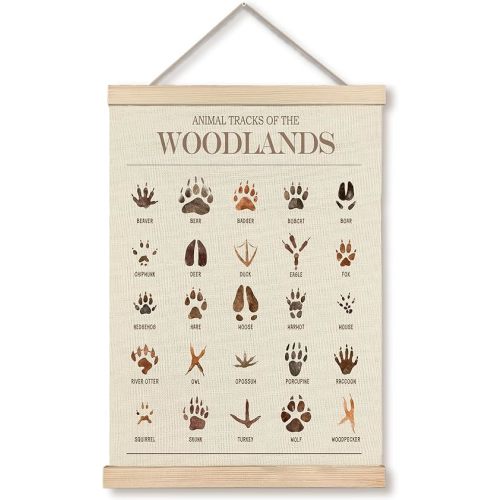 GDJIEGBC Animal Tracks of the Woodlands Poster Wall Art Framed,Woodland Nursery Decor, Jungle Forest Animal Tracks Field Guide Canvas Prints Wall Decor for Nursery Kids Room Playroom, 12x16 Inch