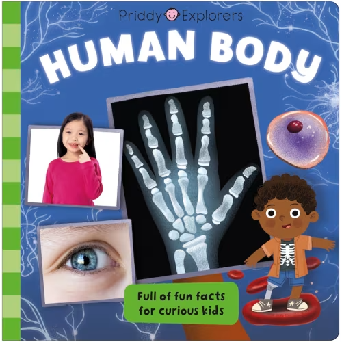 Priddy Explorers: Human Body Book By Roger Priddy, (Board Book) | Indigo