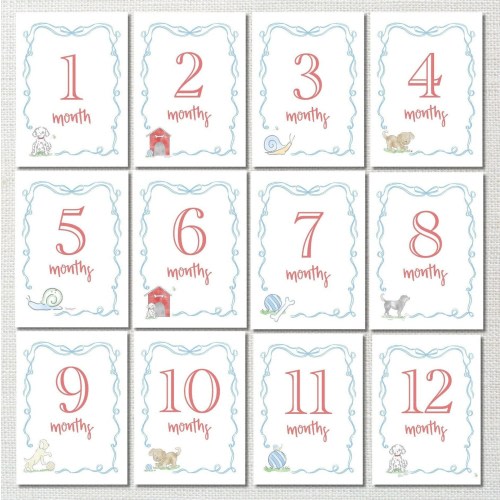 Snips and Snails Watercolor Milestone Cards: Baby Boy First Year Monthly Photo Card Set