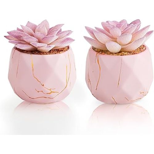 Artificial Succulent Plants in 2 Pink Ceramic Pots, Cute Fake Plants for Vanity Decor,Office, Desk, Bathroom, Kitchen,Bedroom, Shelves Decor for Women,Girls Gift