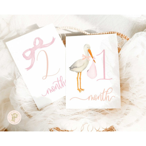 FreshmintPaperie Watercolor Stork Milestone Cards Milestone Cards