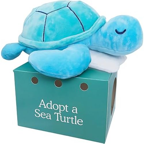 Sam The Sea Turtle Plush with Pillow Accessory - 10" Adopt Me Plushies, Stuffed Turtle, Sea Turtle Stuffed Animal, Small Turtle Plush