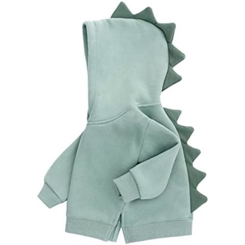 famuka Little Kids Dinosaur Hoodie Toddler Boy Girl Sweatshirt Unisex Casual Tops