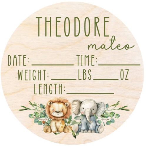 Birth Announcement Sign for Hospital - Welcome Baby Sign - Baby Boy Announcement Sign for Hospital - Baby Announcement Sign - Personalized Birth Stats Wood Announcement - Newborn Hospital Sign