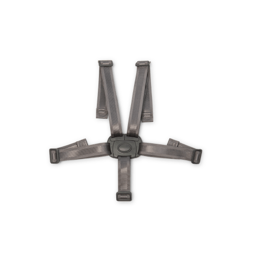 High Chair 5-point harness (models 1031, 1036 & 1042)