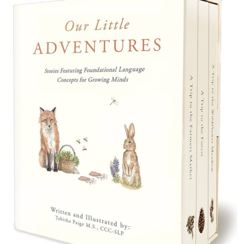 Our Little Adventures: Stories Featuring Foundational Language Concepts for Growing Minds (Tabitha Paige Children's Book Series)