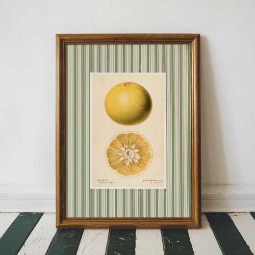 Striped Citrus Art Print, Cottagecore, Antique Wall Art, Grandmillennial Art, Nancy Meyers Inspired, Striped Vintage Art, Mordern Farmhouse