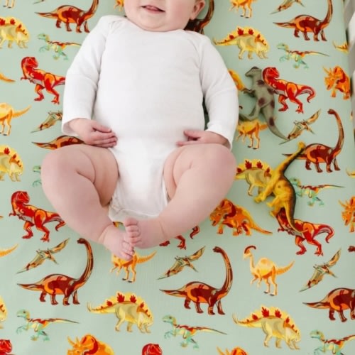 Dinosaurs Bamboo Crib Sheet