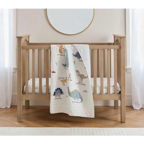 Dillon Dino Baby Bedding | Pottery Barn Kids
