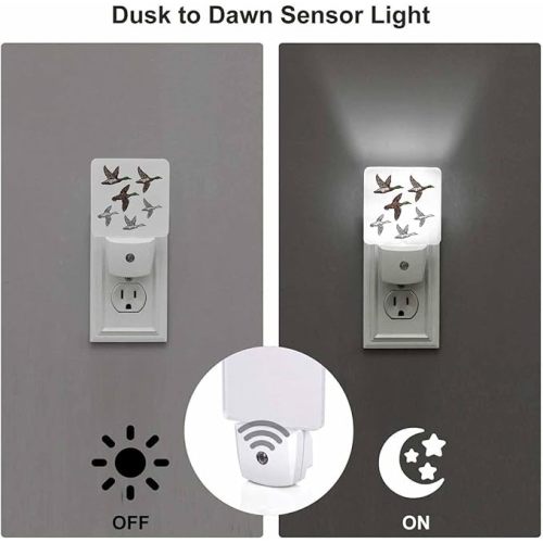 LED Night Light Plug into Wall with Dusk to Dawn Light Sensor White Energy Efficient Duck Mallard Wild Bird Nightlight for Bedroom Bathroom Hallway Living Room Kitchen - 61W Duck Mallard Wild Bird
